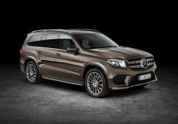 2016-mercedes-benz-gls-class-official-pics (5)