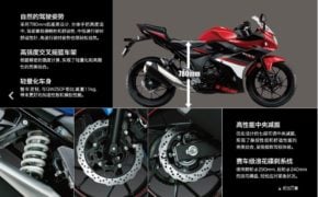 suzuki-gsx-250r-moto-gp-edition-images-specifications