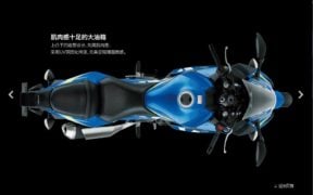 suzuki-gsx-250r-moto-gp-edition-images-top-view