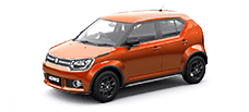 maruti ignis official colour options uptown red