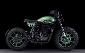 Royal Enfield Classic 500 Green Fly Images Side View