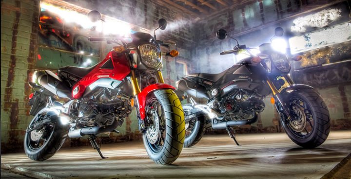 Honda Grom India Images