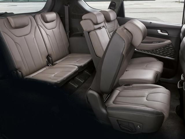 2019 Hyundai Santa Fe Rear Seat