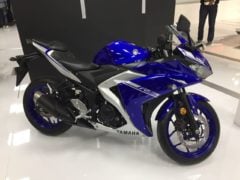 New Yamaha R3 Images