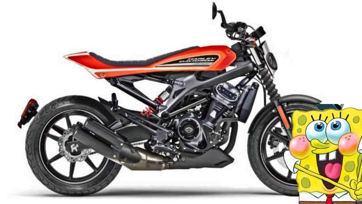 Harley Davidson 250cc motorcycle side image