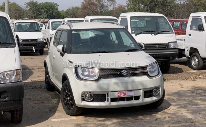 2019 Ignis Front Car Blog India 2019 Ignis Front Image