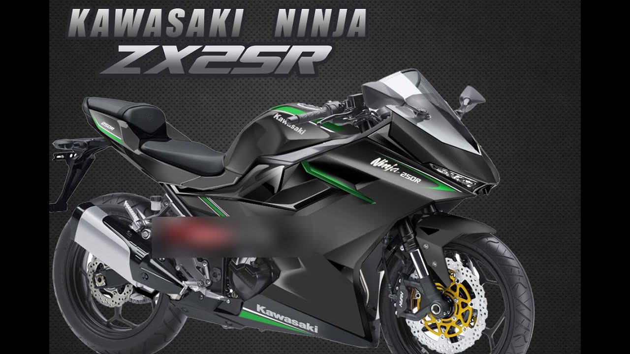 "ninja zx250"