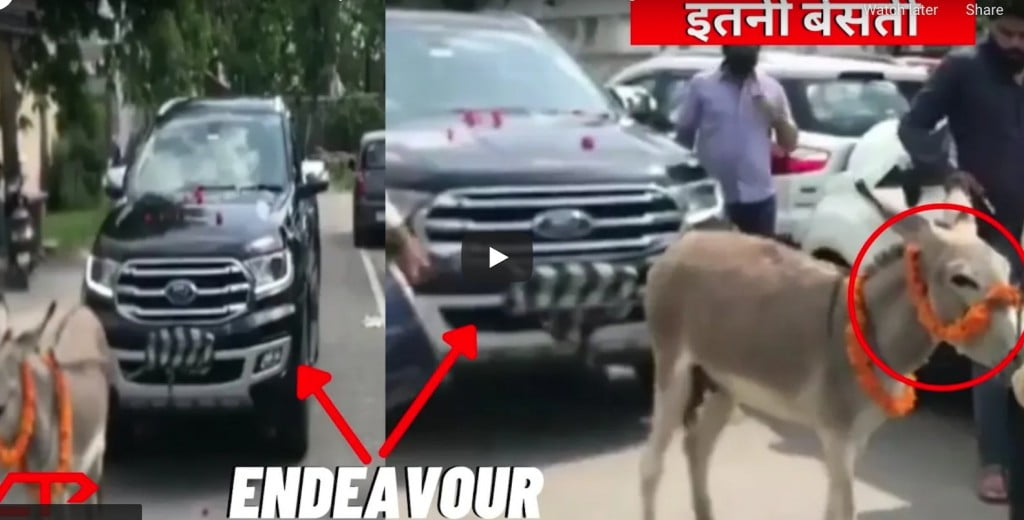 Disgruntled Proprietor Makes use of Donkey To Tow His Ford Endeavour to Dealership