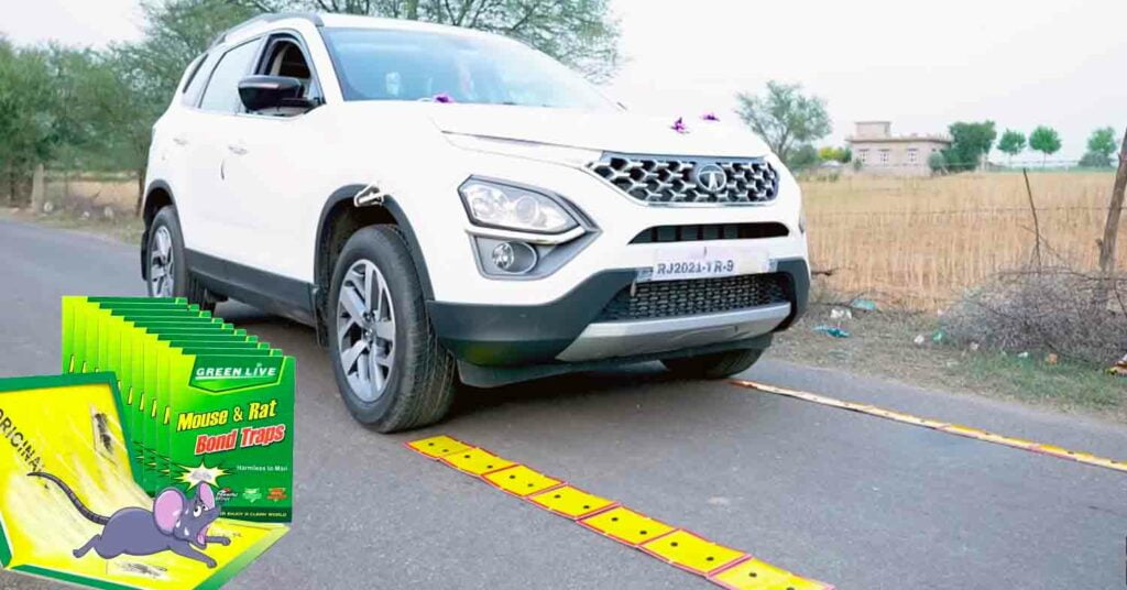 Tata Safari Vs Mouse Traps Car Blog India Tata Safari Vs Mouse Traps