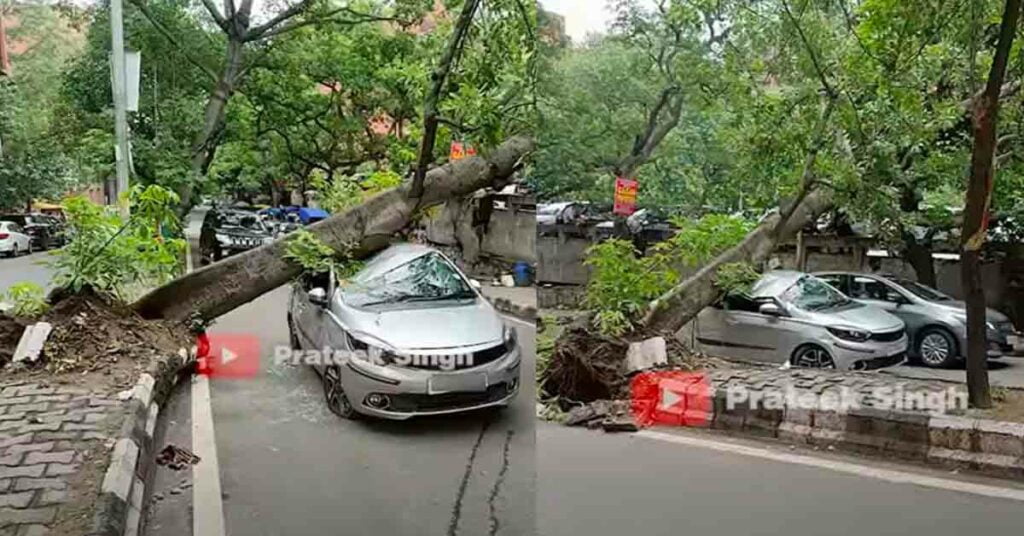 tree falls on tata tigor rajendra place delhi