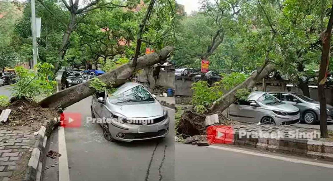 tree falls on tata tigor rajendra place delhi