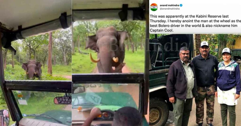 Man Escapes Elephant Attack in Mahindra Bolero