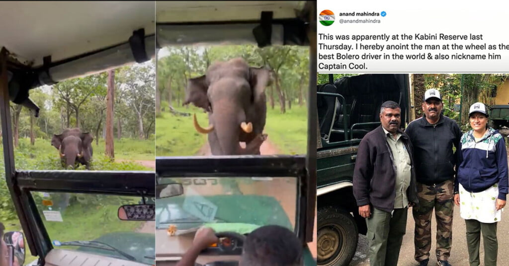 Man Escapes Elephant Attack; Anointed "Best Bolero Driver In The World"