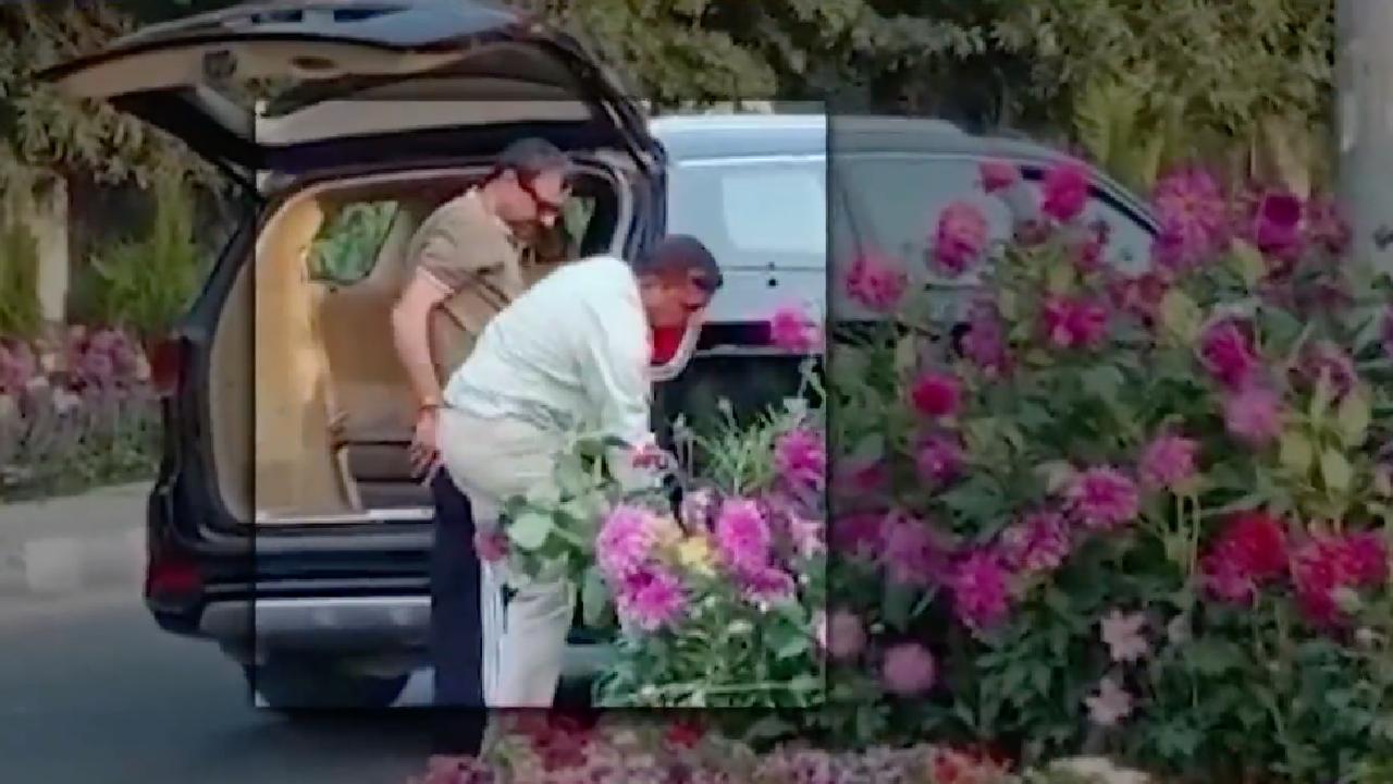 Men Stealing Flower Pots in Kia Carnival
