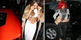 Rihanna's Audi Car Stolen