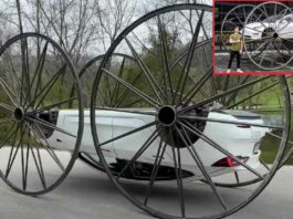 Tesla 120-inch alloys