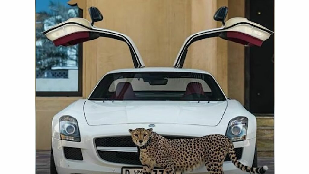 Mercedes SLS AMG