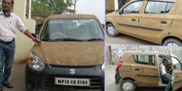 mp doctor cow dung maruti alto