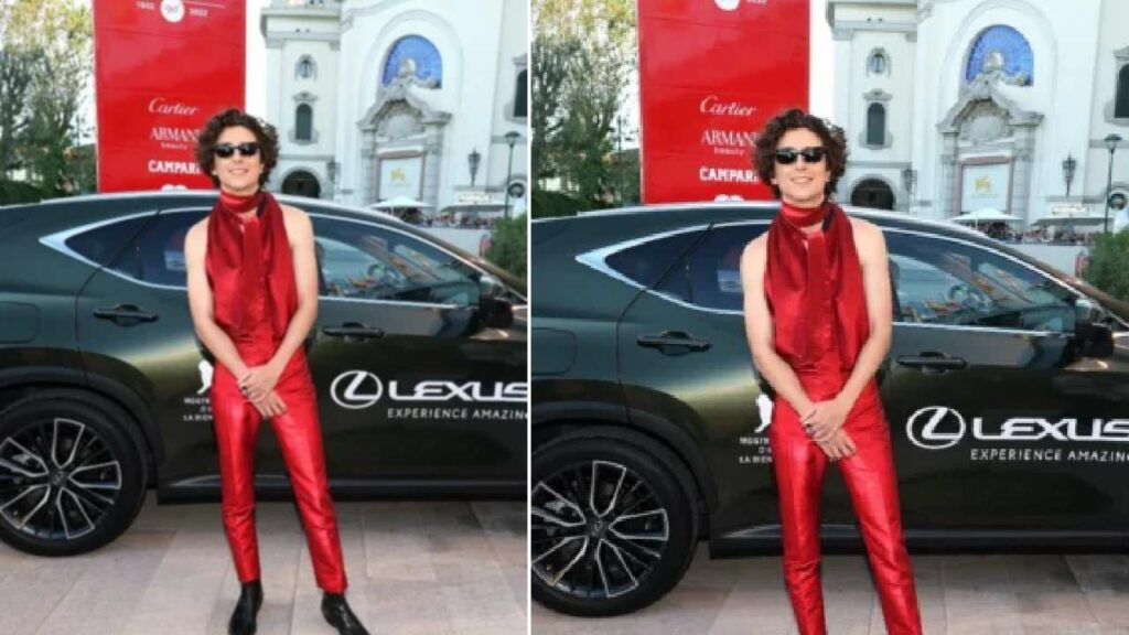 Lexus NX of Timothee Chalamet