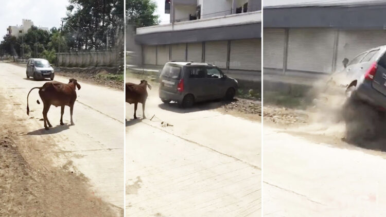 Maruti Wagon R Drift Save Cow Accident