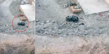 tata altroz falls 180-feet