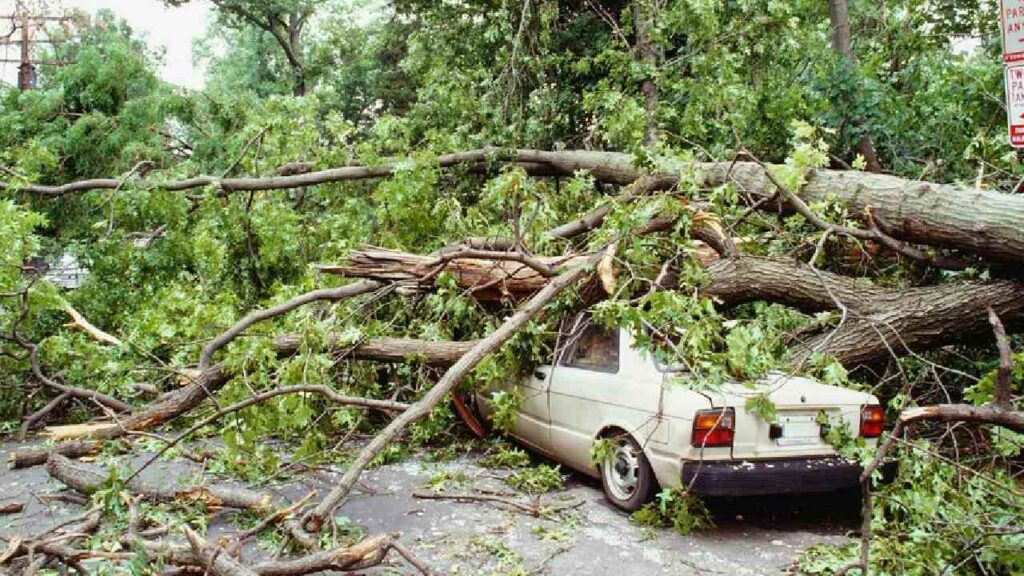 Tips to Protect Car in Thunderstorm