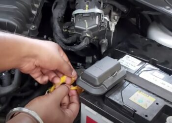 How to keep rats and rodents away from car