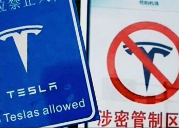 Why is China Banning Teslas