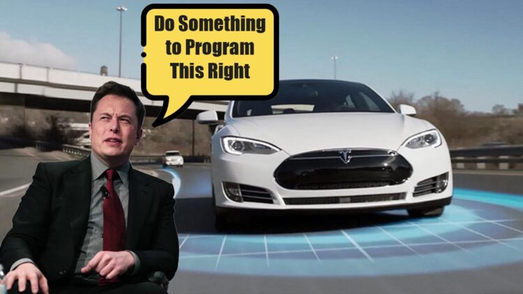 Elon Musk Tesla Autopilot Malfunction