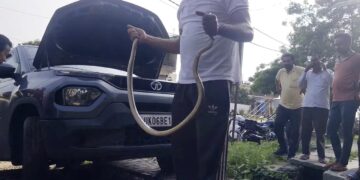 snake rescued from tata punch