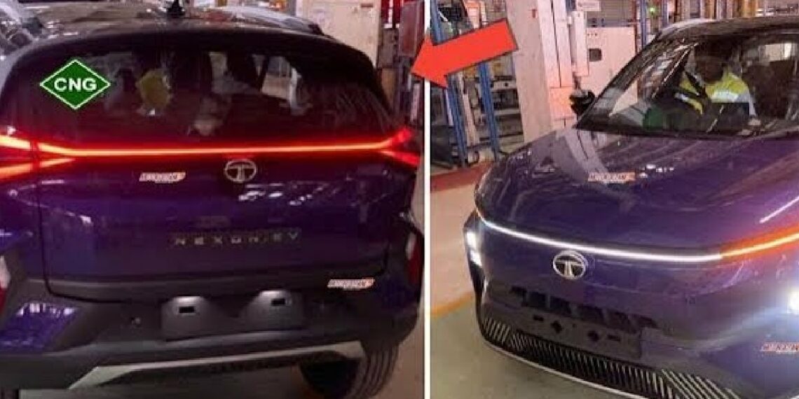 Tata Nexon EV or iCNG