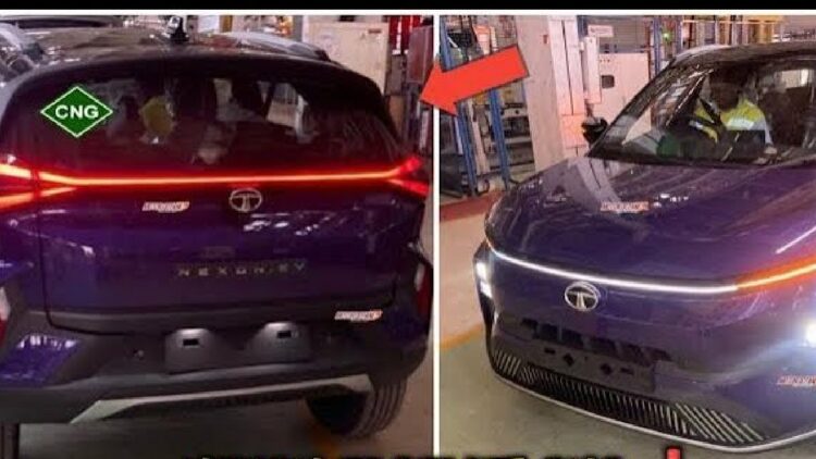 Tata Nexon Ev or Icng