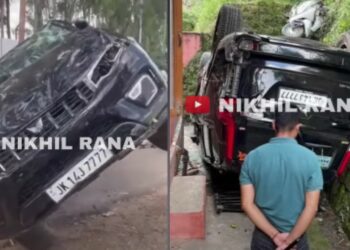 Mahindra Scorpio N Falls Off Roadside