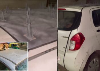 Maruti Celerio Spikes on Roof to Prevent Dogs from Sleeping