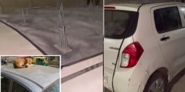 Maruti Celerio Spikes on Roof to Prevent Dogs from Sleeping