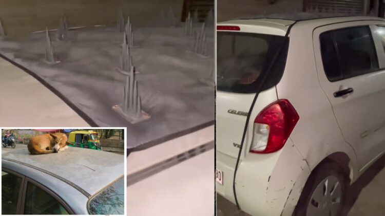Maruti Celerio Spikes on Roof to Prevent Dogs from Sleeping