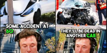 Elon Musk Reacts to Tesla Driving Sleeping