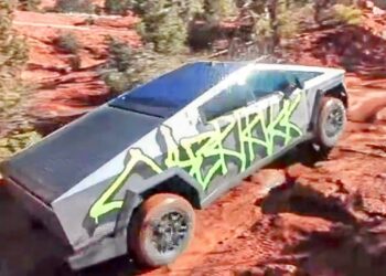 Multiple Tesla Cybertrucks Off-Roading Sequoia National Forest