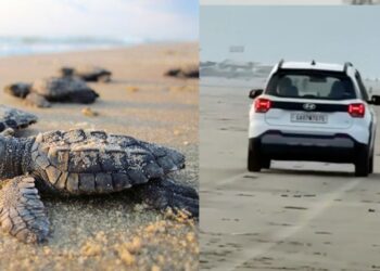 Hyundai Exter Preserved Turtle Beach Morjim Goa