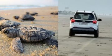 Hyundai Exter Preserved Turtle Beach Morjim Goa