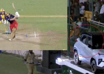 Australian Cricketer Ellyse Perry Breaks Window of Tata Punch EV