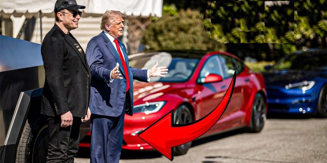 Donald Trump Praises Tesla Cars in White House