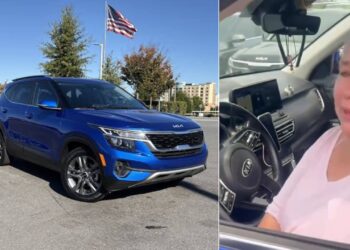 American Lady Drives Kia Seltos 9 Lakh Km