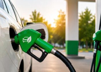 E22/E30 Petrol Ethanol Blend Standards in India